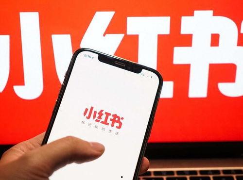 小红书最新爆料信息