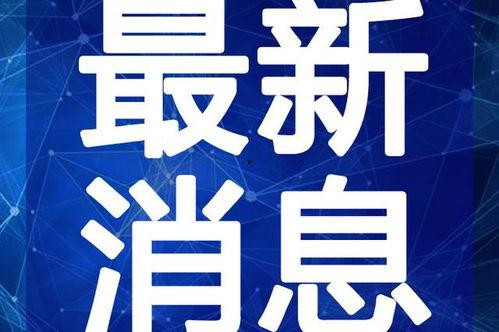 文安吃瓜视频爆料最新